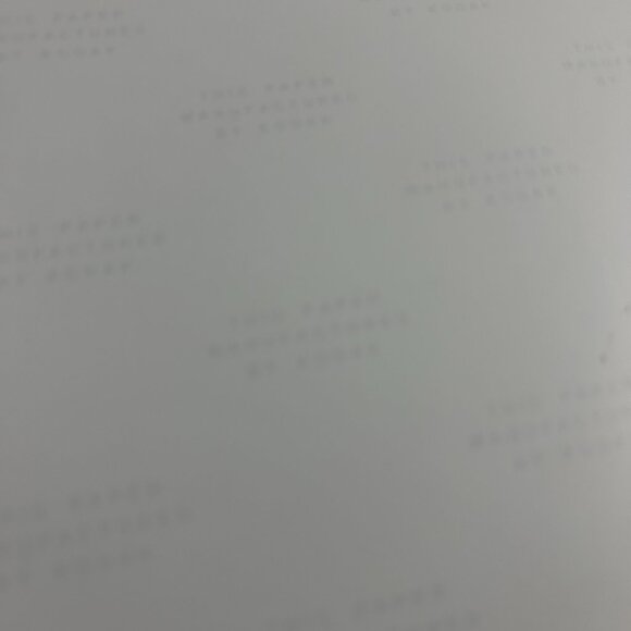 Vintage Photo Statue Of Liberty New York City Found Art SIGNED AKIDAVU - Picture 5 of 9